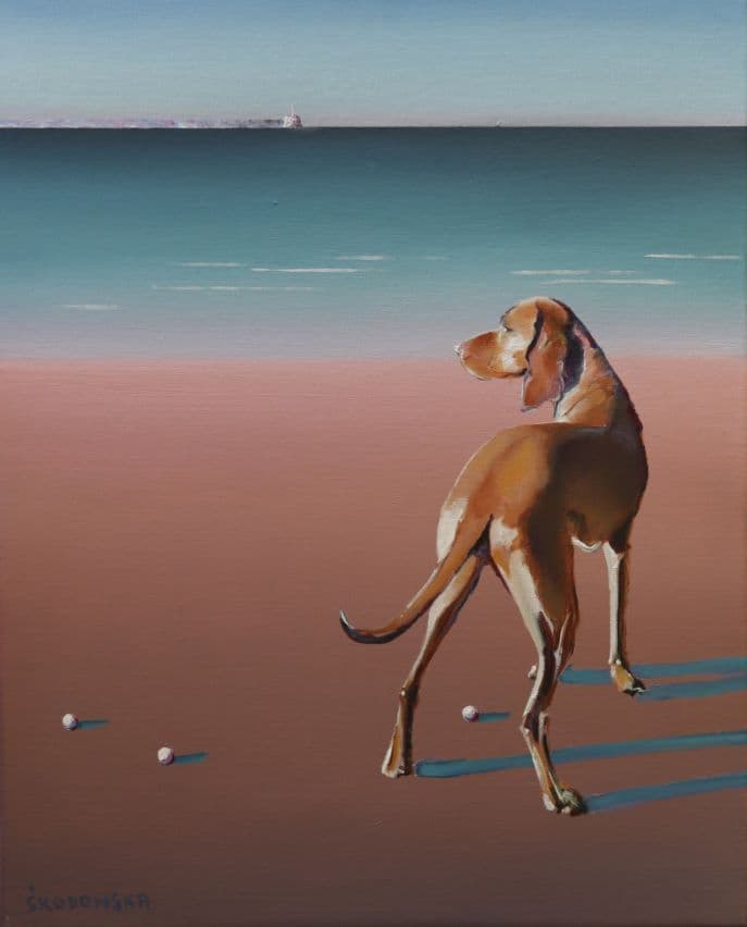 Popołudniowy spacer